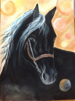 /album/chevaux/photo-1805-jpg/